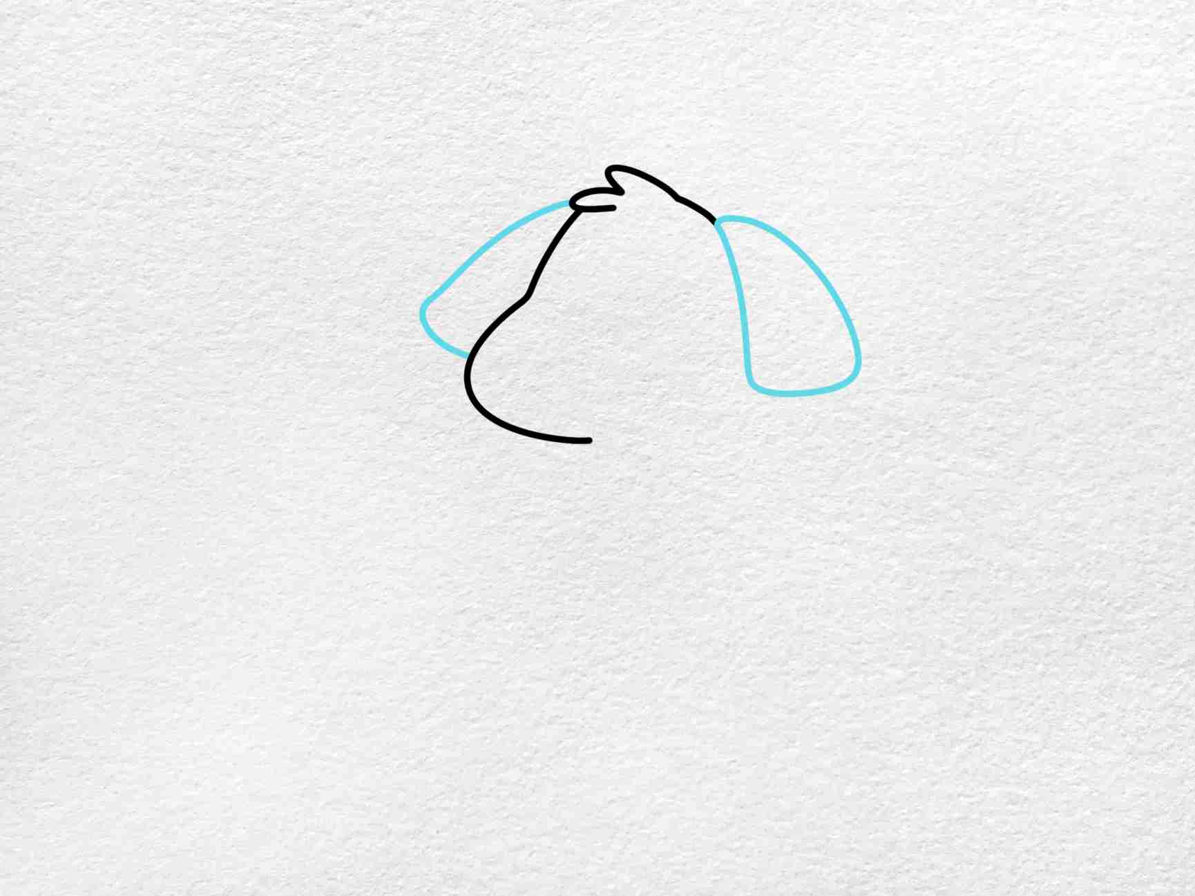 Birthday Dog Drawing: Step 2