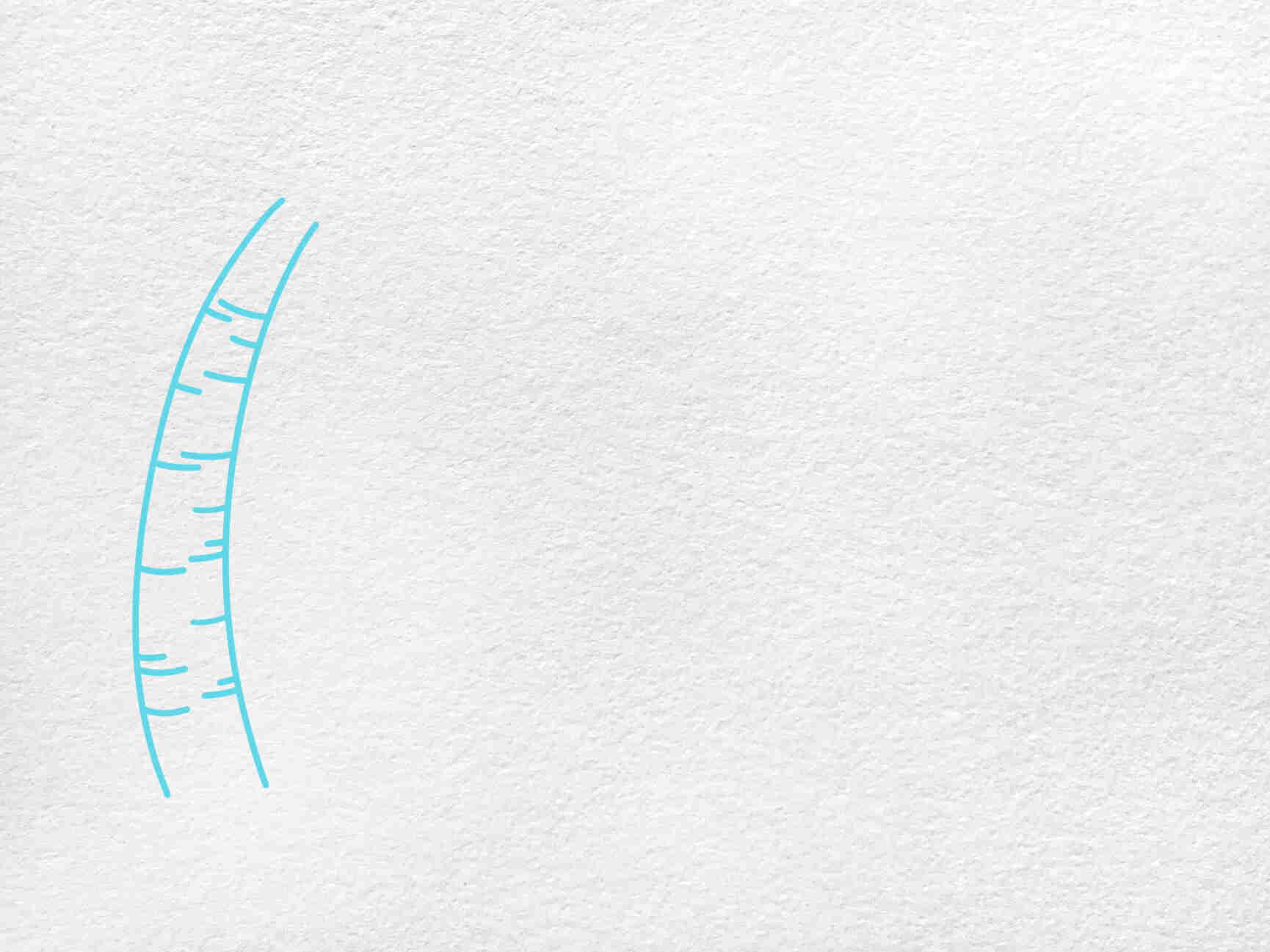 Summer Drawing for Kids: Step-1