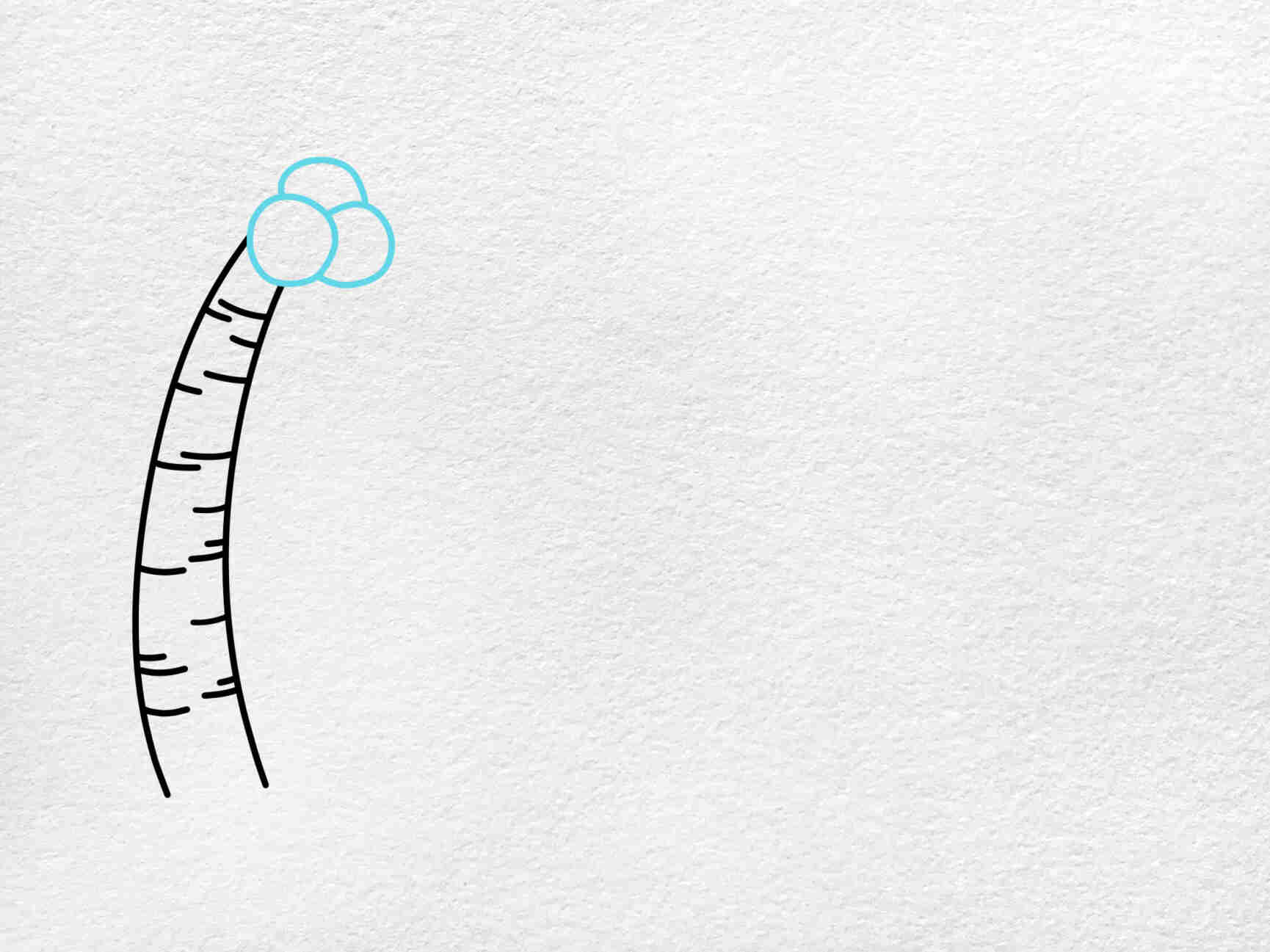 Summer Drawing for Kids: Step-2